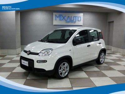 Fiat Panda 1.0 firefly hybrid s&s 70cv usata