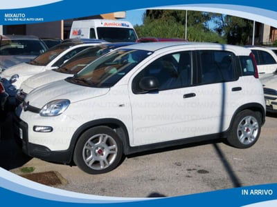 Fiat Panda 1.0 firefly hybrid s&s 70cv 5p.ti usata