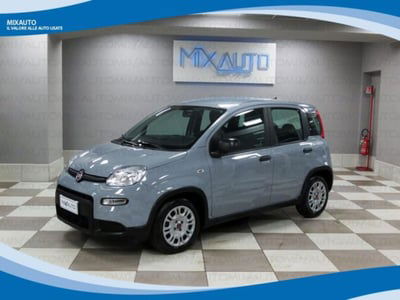 Fiat Panda 1.0 firefly hybrid s&s 70cv 5p.ti usata