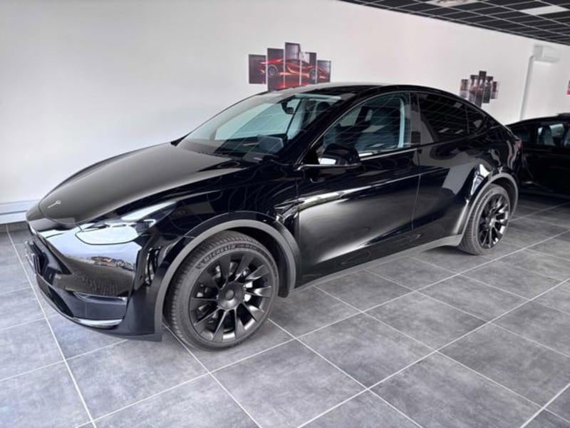 Tesla Model Y Long Range Dual Motor awd