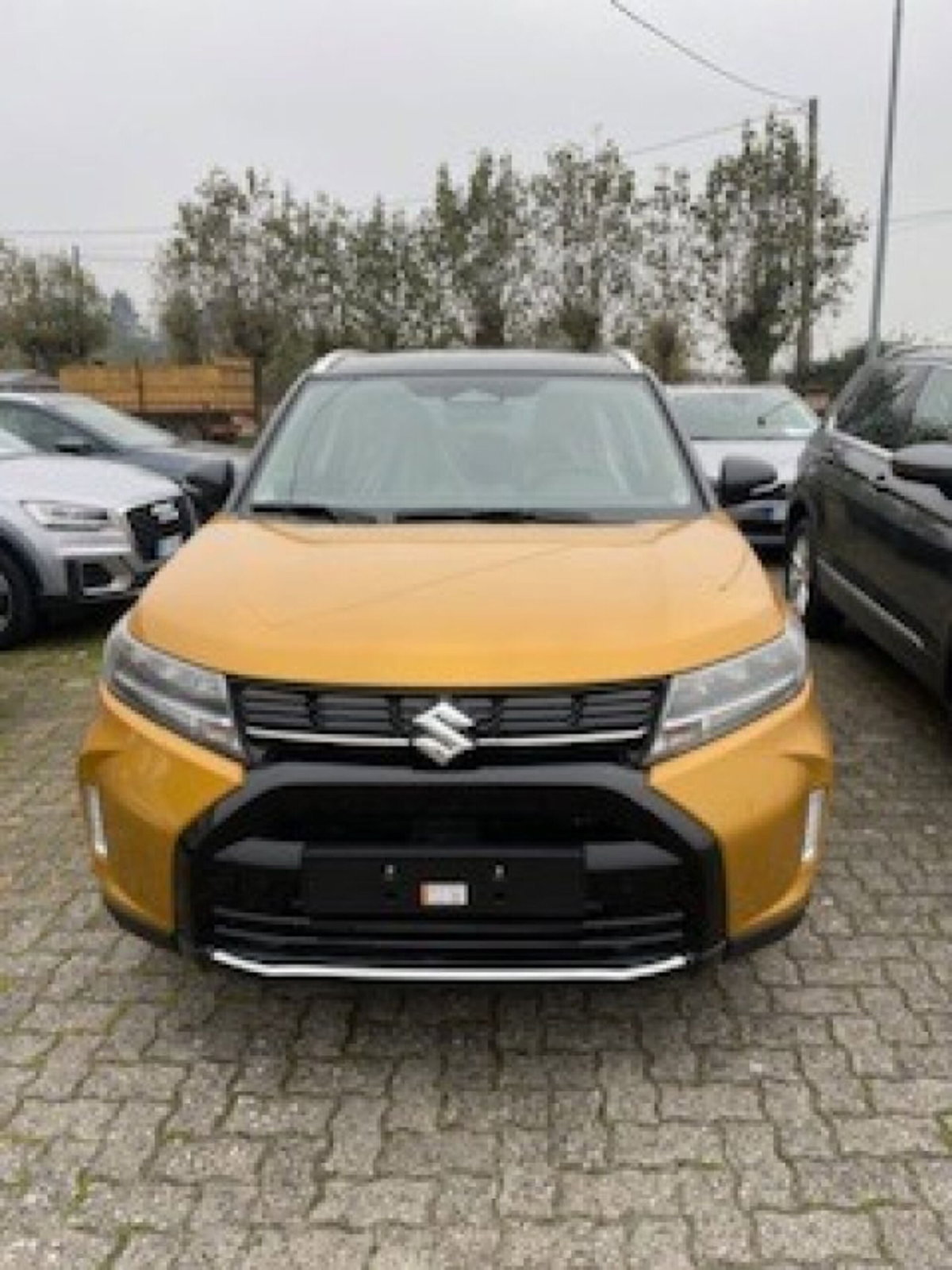 Suzuki Vitara 1.4h Top 2wd 110cv