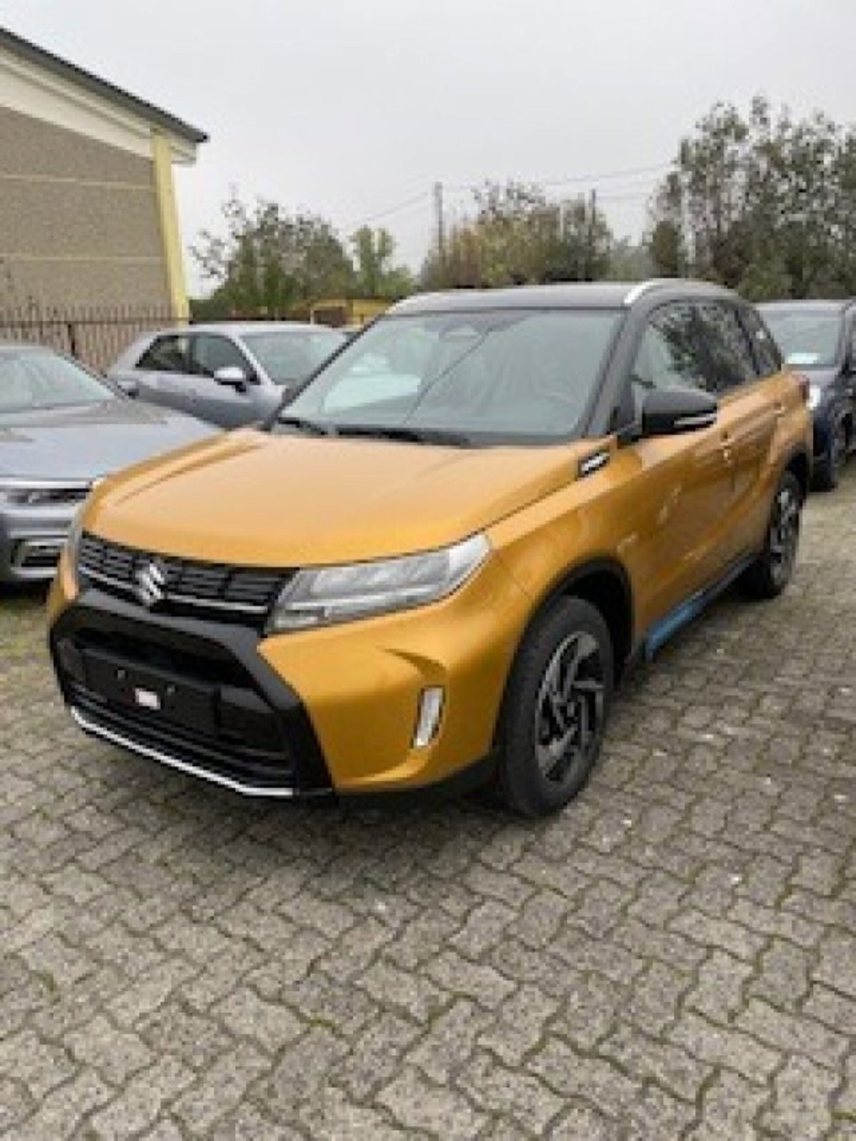 Suzuki Vitara 1.4h Top 2wd 110cv (2)