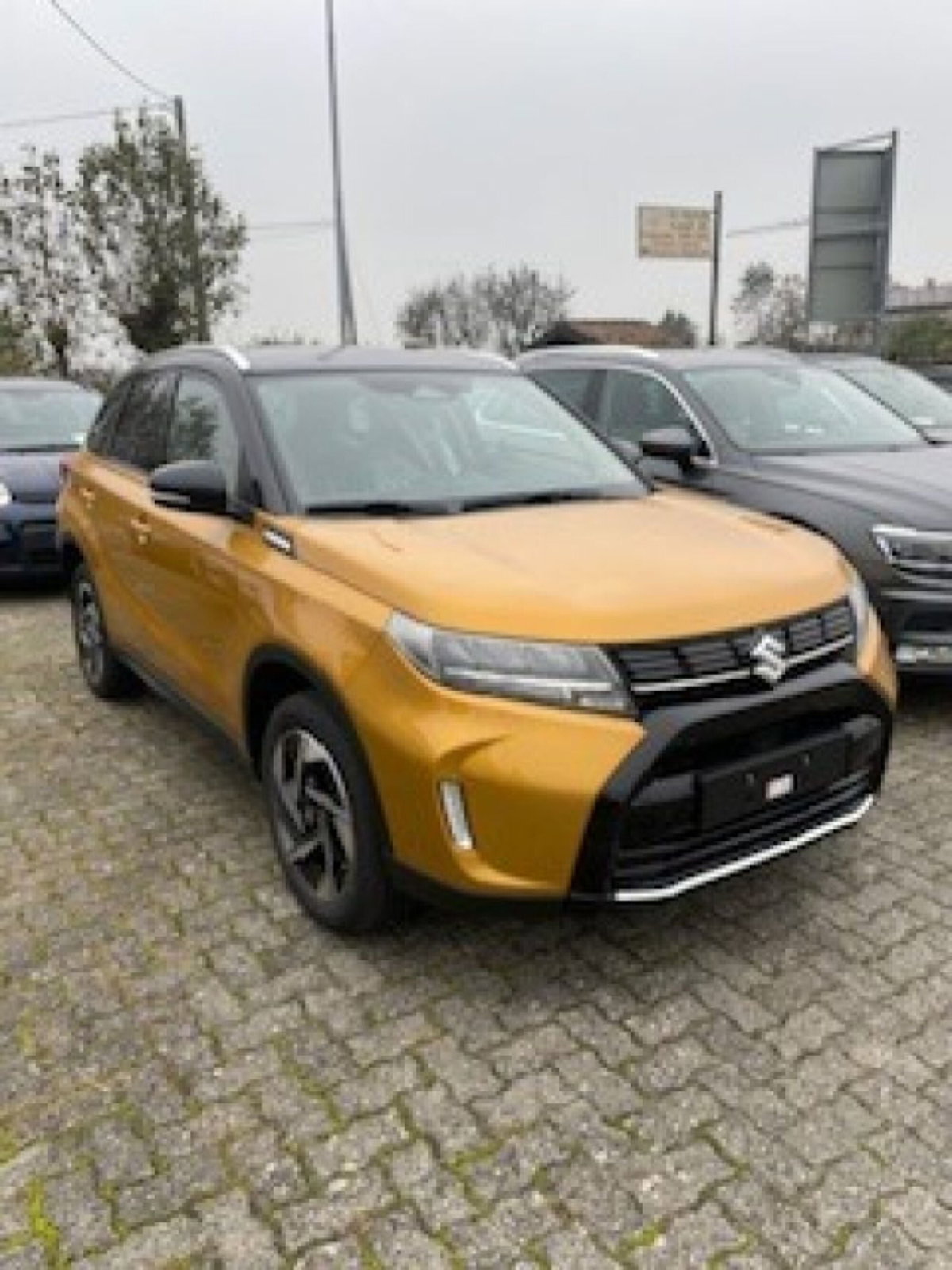Suzuki Vitara 1.4h Top 2wd 110cv (3)