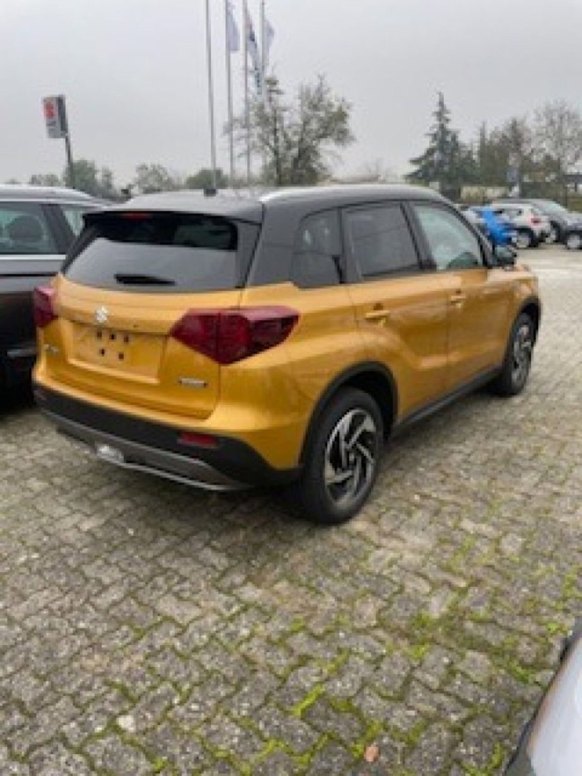 Suzuki Vitara 1.4h Top 2wd 110cv (5)