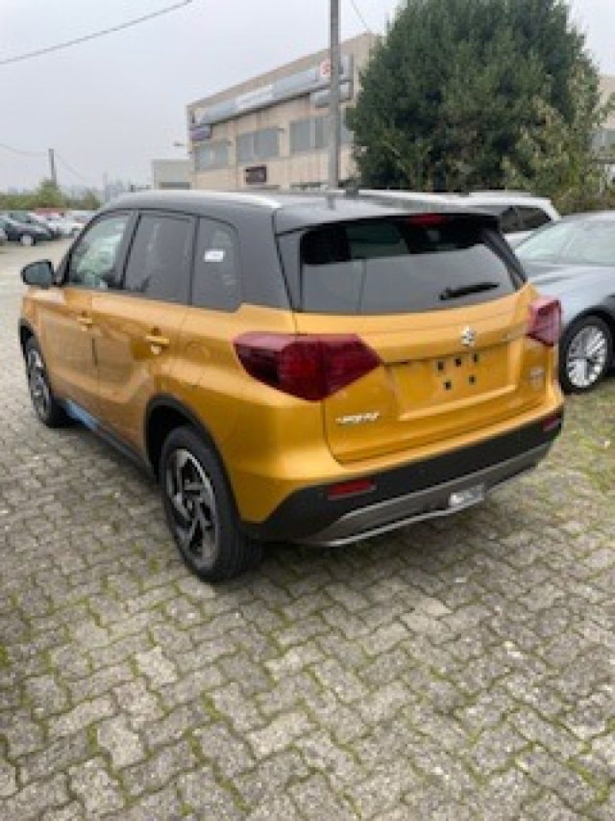 Suzuki Vitara 1.4h Top 2wd 110cv (6)