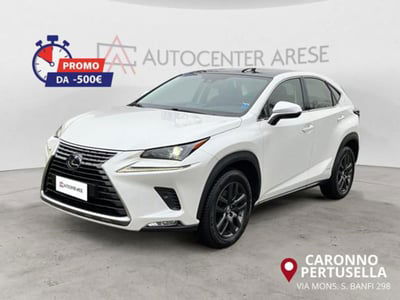 Lexus NX Hybrid 4WD Premium usata