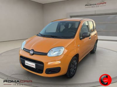 Fiat Panda 1.2 Easy usata