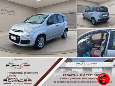 Fiat Panda 1.2 Easy usata