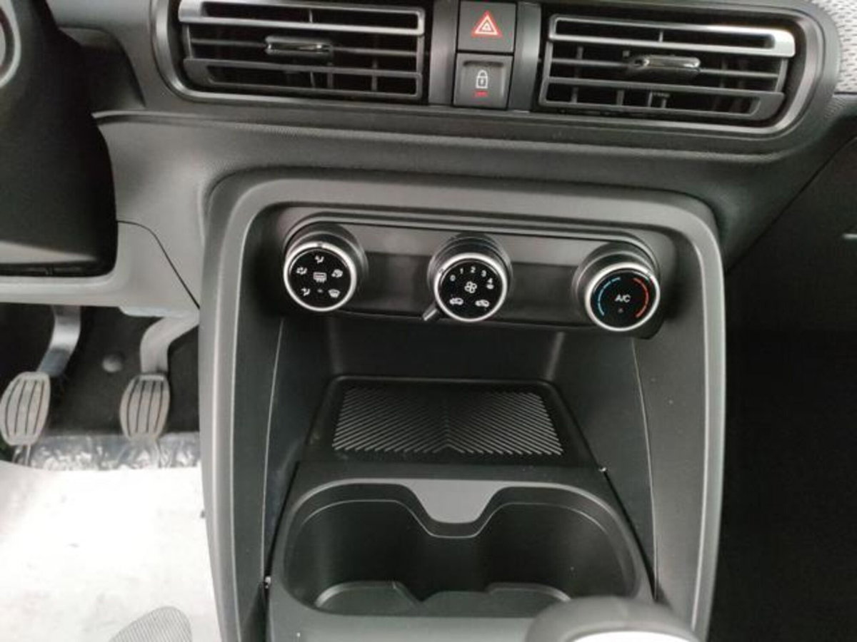 Citroen C3 1.2 puretech You Pack Plus 100cv s&s (8)
