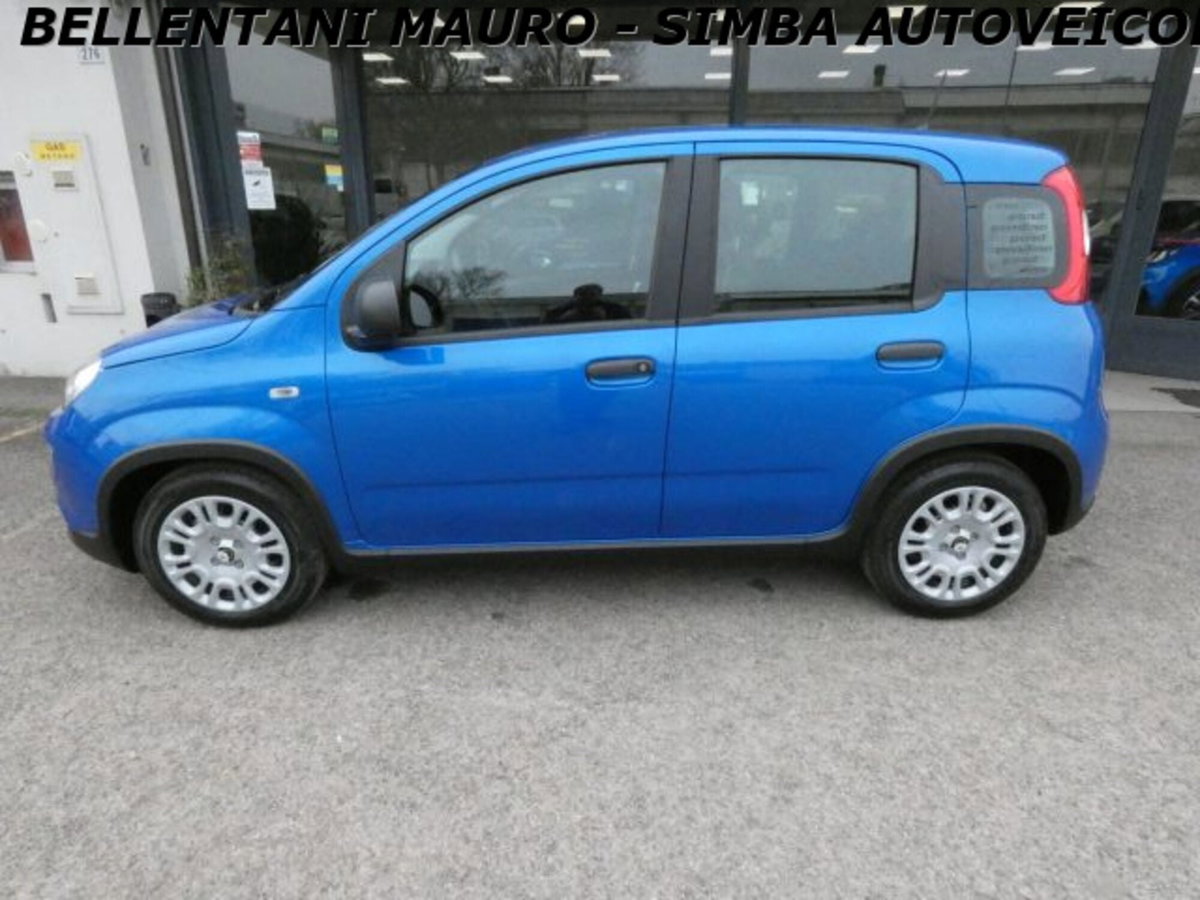 Fiat Panda 1.0 firefly hybrid s&s 70cv 5p.ti (4)