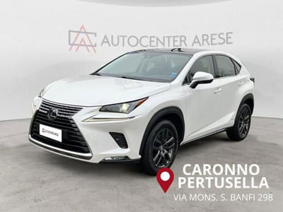 Lexus NX Hybrid 4WD Premium usata