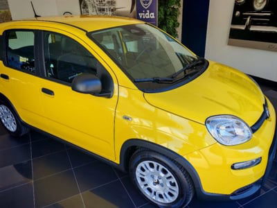 Fiat Panda 1.0 firefly hybrid s&s 70cv 5p.ti