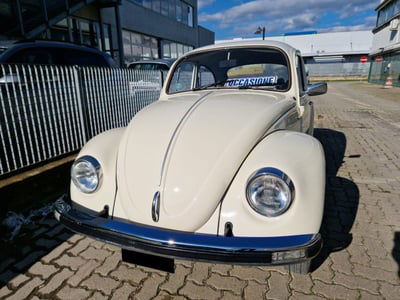 Volkswagen Maggiolino 1200 L (Messico) usata