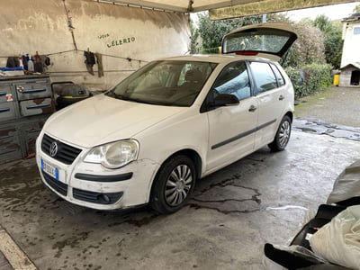 Volkswagen Polo 1.2/60CV 5p. United usata