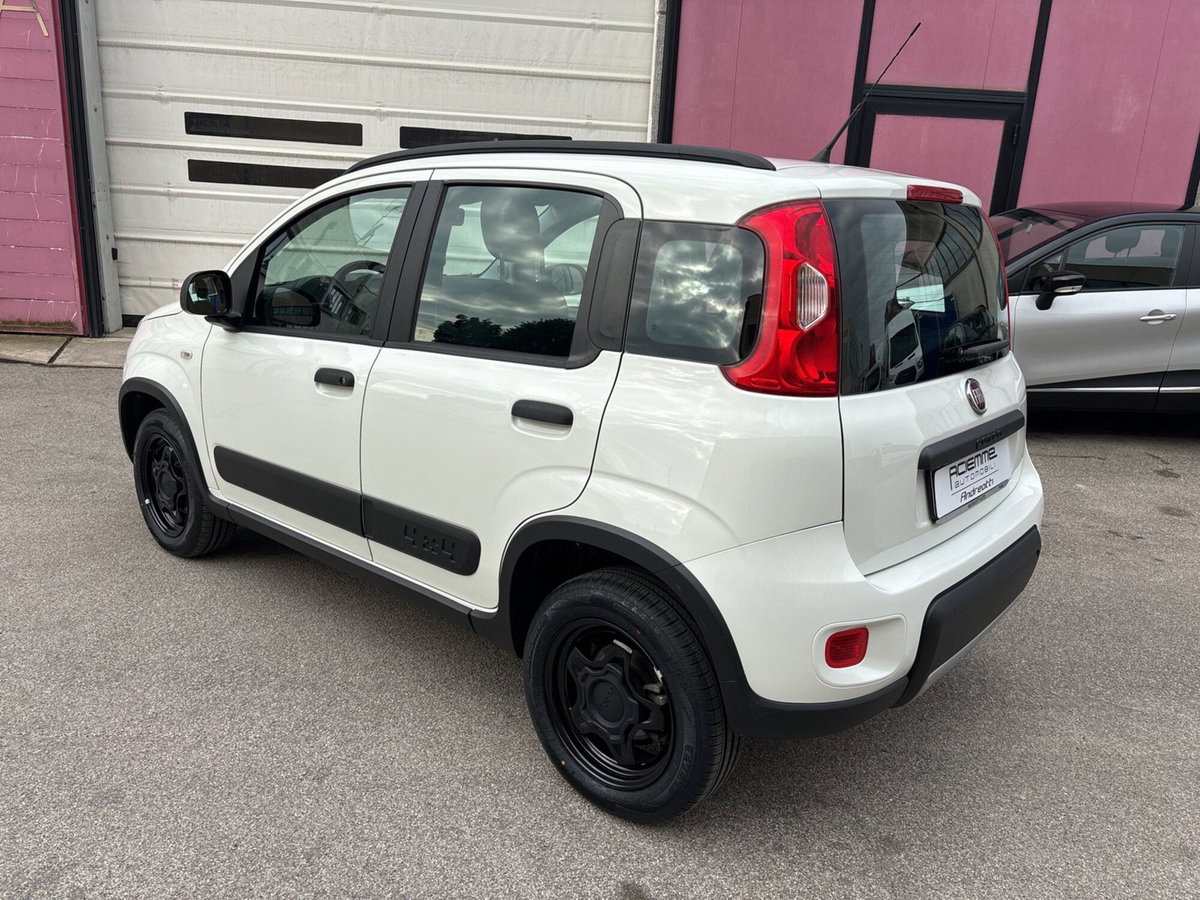 Fiat Panda 0.9 TwinAir Turbo S&S 4x4 (6)