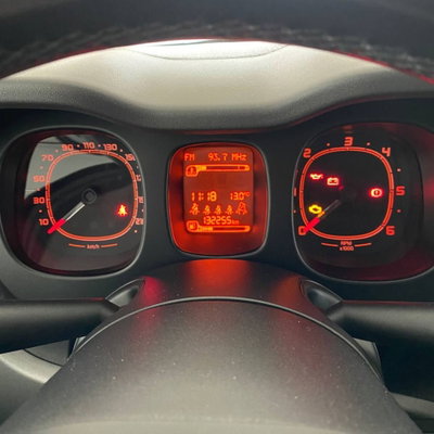 Fiat Panda 1.3 MJT 95 CV S&S 4x4 (14)
