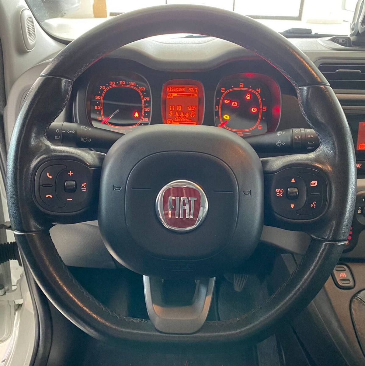 Fiat Panda 1.3 MJT 95 CV S&S 4x4 (15)