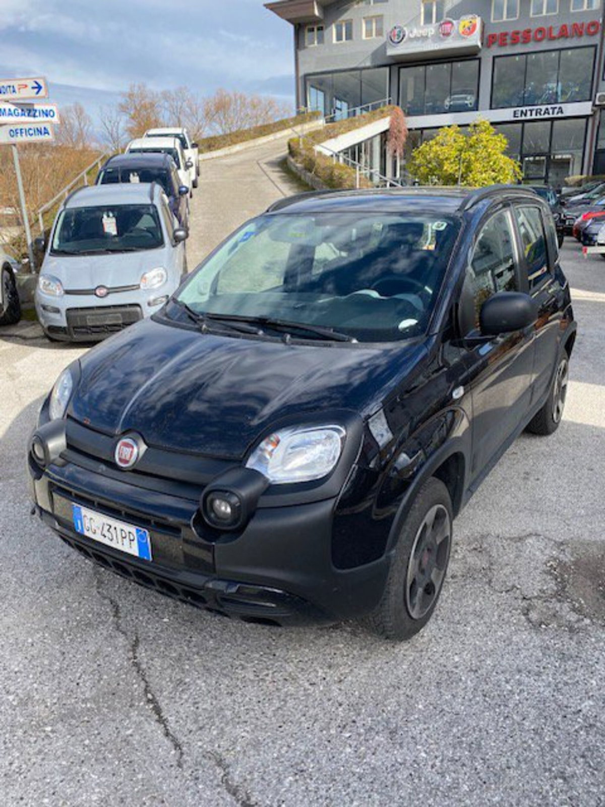 Fiat Panda Cross Cross 0.9 TwinAir Turbo S&S 4x4 (2)