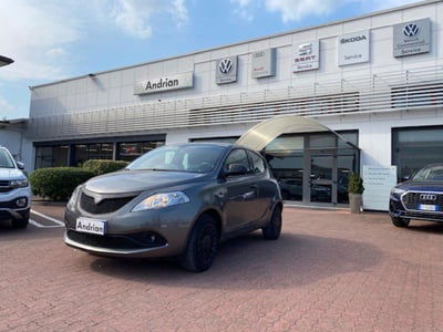 Lancia Ypsilon 1.2 69 CV 5 porte Elefantino Blu usata