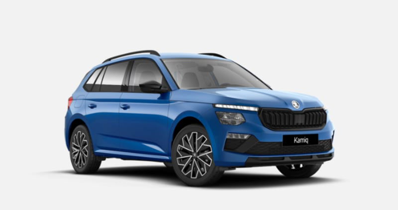 Skoda Kamiq 1.0 tsi Black Dots 115cv dsg