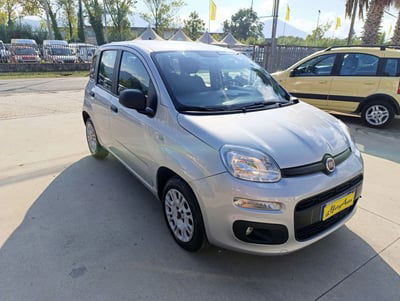 Fiat Panda 1.2 EasyPower Easy usata