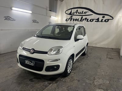 Fiat Panda 1.2 Lounge usata