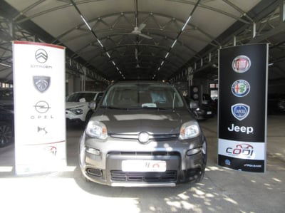 Fiat Panda 1.0 FireFly S&S Hybrid City Cross usata