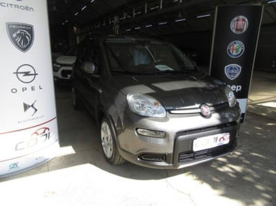 Fiat Panda 1.0 FireFly S&S Hybrid City Cross usata