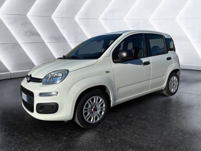 Fiat Panda 1.2 Easy usata