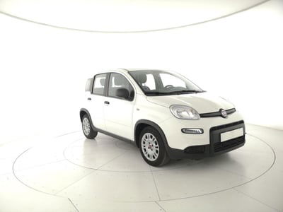 Fiat Panda 1.0 FireFly S&S Hybrid usata