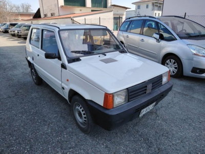 Fiat Panda 900 i.e. cat (2)