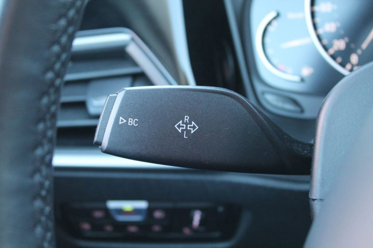 BMW Serie 3 318d Business Advantage (14)