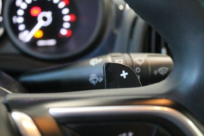 Fiat 500L 1.3 Multijet 95 CV Dualogic Business (15)