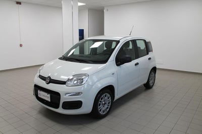 Fiat Panda 1.2 Easy usata