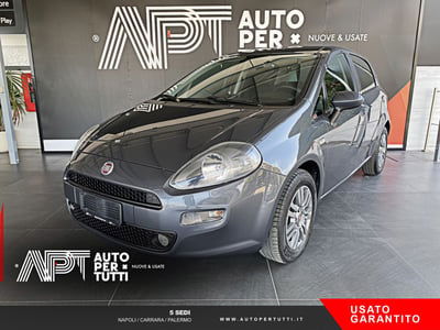 Fiat Punto 1.2 8V 5 porte Street usata