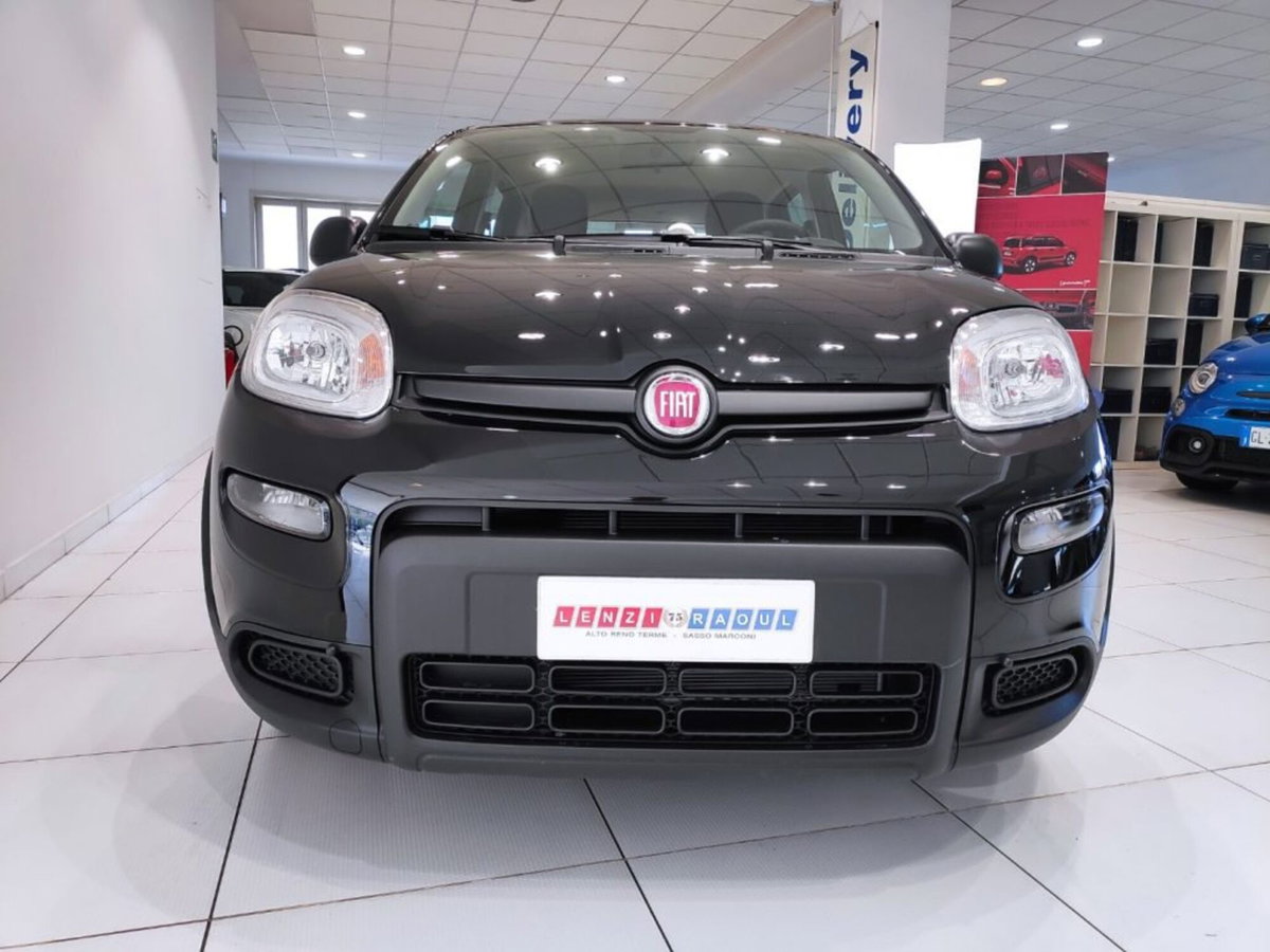 Fiat Panda Cross Cross 1.0 FireFly S&S Hybrid (9)