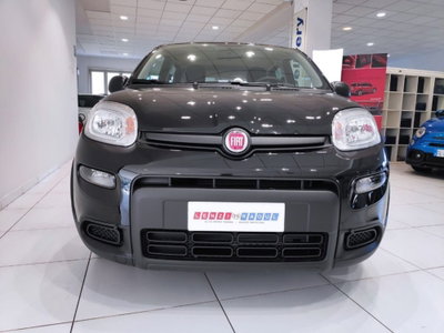 Fiat Panda Cross Cross 1.0 FireFly S&S Hybrid (9)