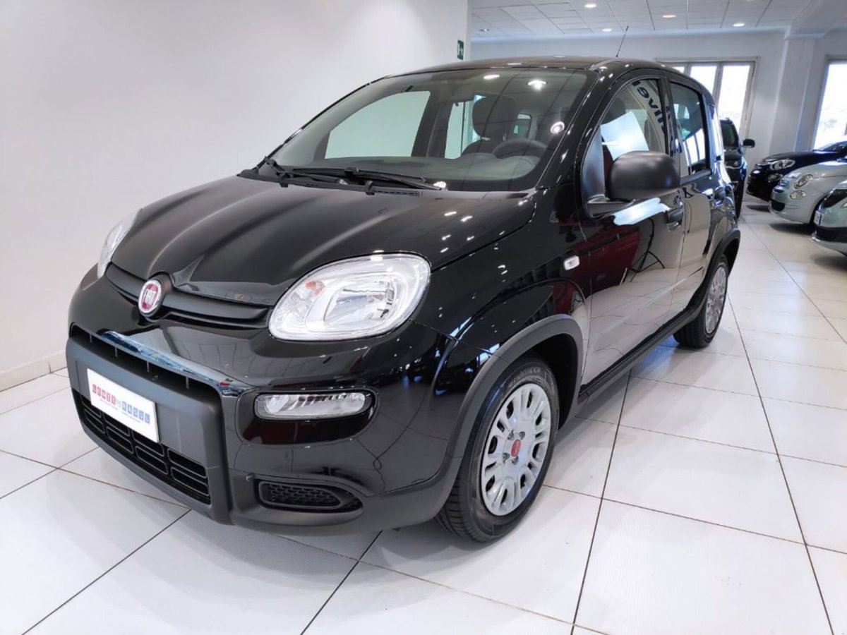 Fiat Panda Cross Cross 1.0 FireFly S&S Hybrid (10)