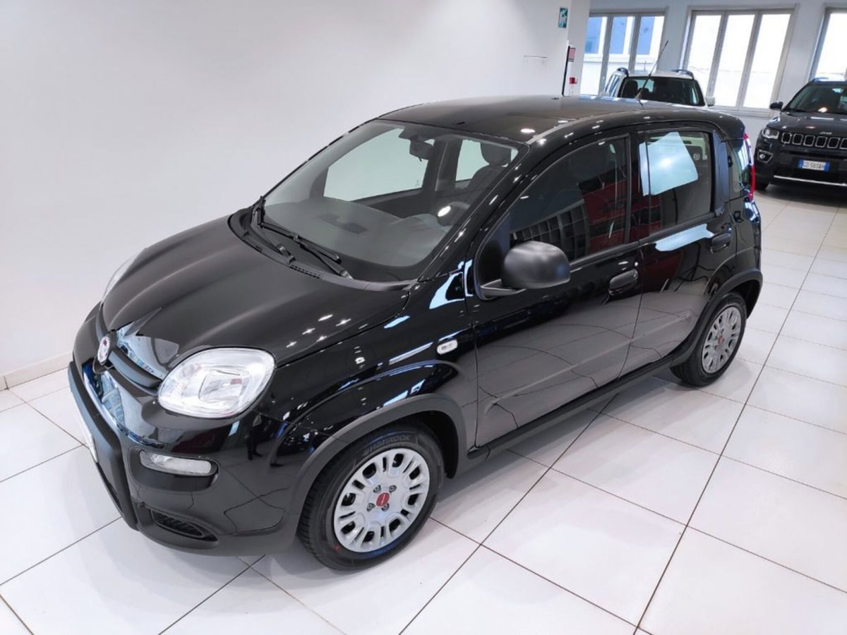 Fiat Panda Cross Cross 1.0 FireFly S&S Hybrid (11)