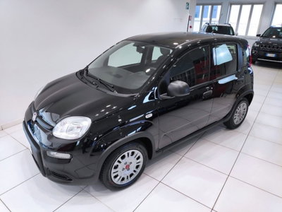 Fiat Panda Cross Cross 1.0 FireFly S&S Hybrid (11)