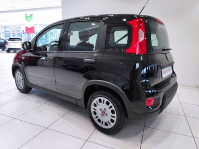 Fiat Panda Cross Cross 1.0 FireFly S&S Hybrid (12)