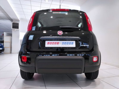 Fiat Panda Cross Cross 1.0 FireFly S&S Hybrid (15)
