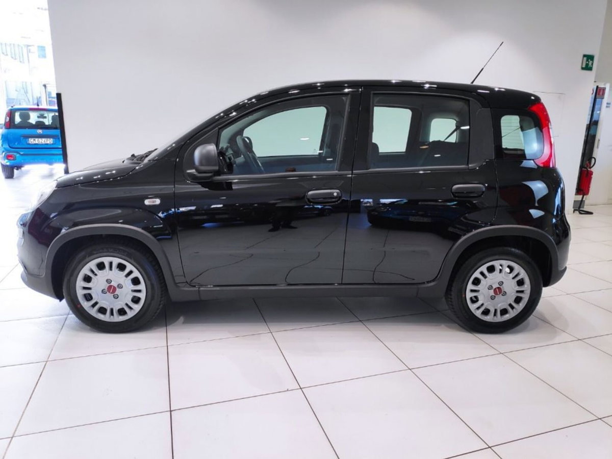 Fiat Panda Cross Cross 1.0 FireFly S&S Hybrid (2)