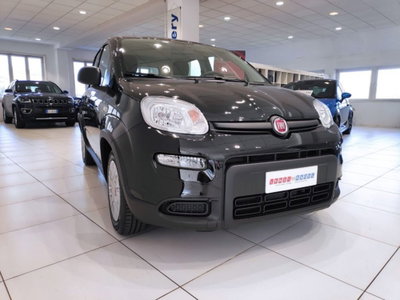 Fiat Panda Cross Cross 1.0 FireFly S&S Hybrid (8)