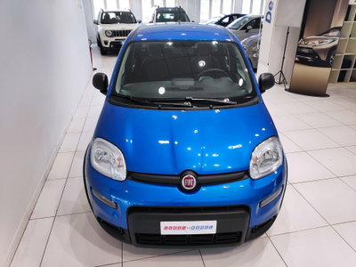 Fiat Panda Cross Cross 1.0 FireFly S&S Hybrid (10)