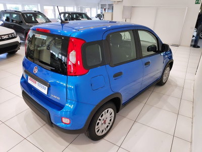 Fiat Panda Cross Cross 1.0 FireFly S&S Hybrid (17)