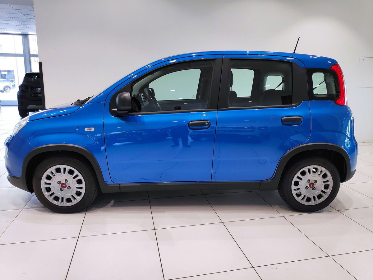 Fiat Panda Cross Cross 1.0 FireFly S&S Hybrid (2)