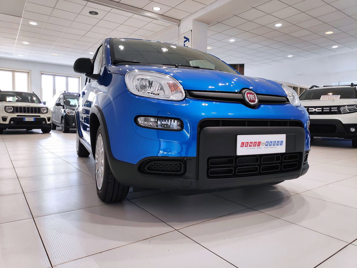 Fiat Panda Cross Cross 1.0 FireFly S&S Hybrid (8)