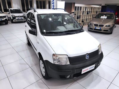 Fiat Panda 1.2 4x4 usata