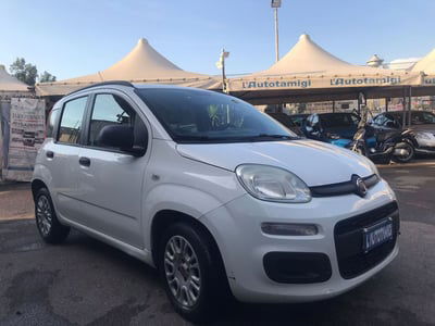 Fiat Panda 1.3 MJT S&S Pop usata